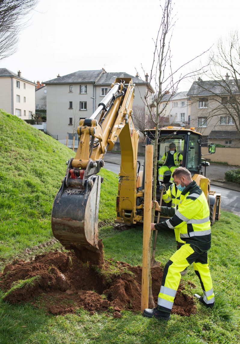 plaplantation-arbres-gourganntation-arbres-gourgan