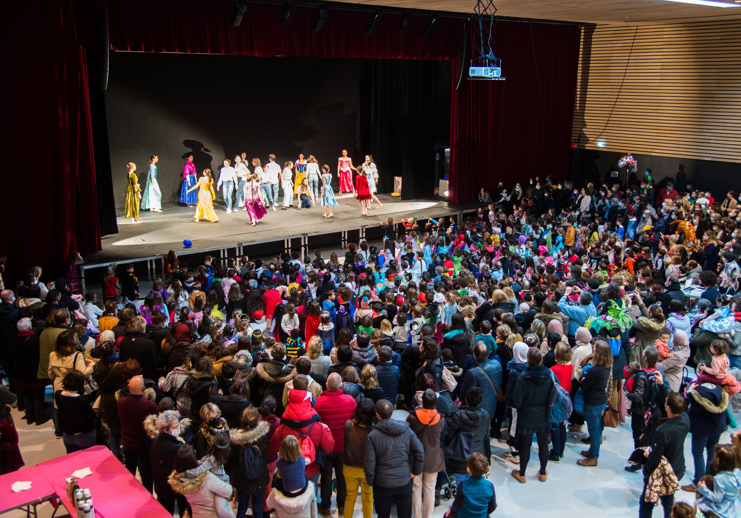 Carnaval de Rodez (6)