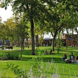 jardin-public-rodez